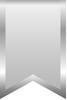 SILVER Banner